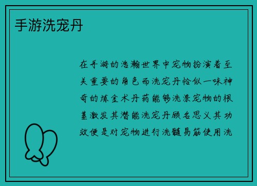 手游洗宠丹